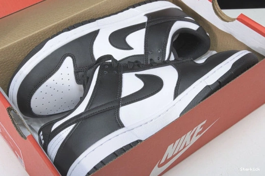 Retro (2021)   DD1503-101 Nike Low Dunk Panda White Black 0308